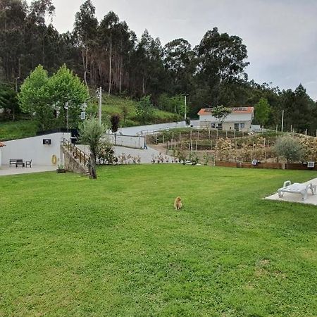 Quinta Da Tormenta -14 Pessoas- Cabeceiras De Basto 2 Casas E Piscina Privada Villa Exteriör bild